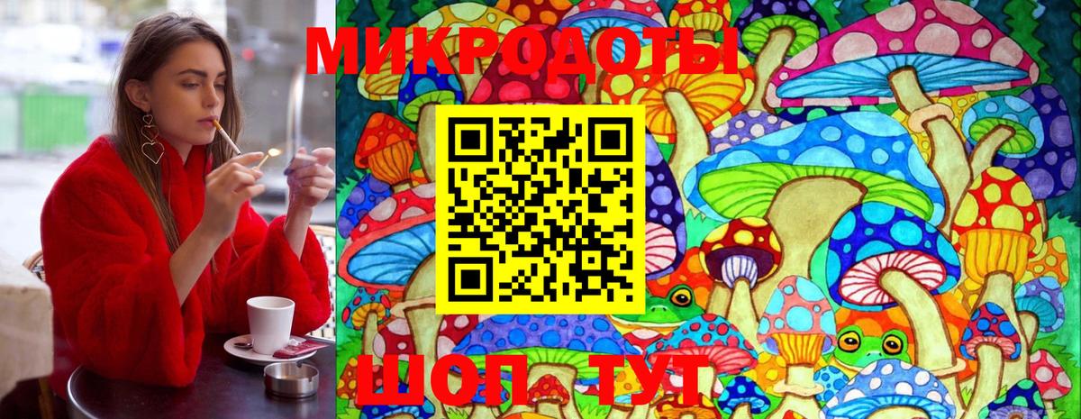 Галлюциногенные грибы GOLDEN TEACHER  Вход с VPN  Шарыпово 